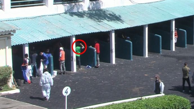 Cheval maltraité à l'hippodrome de Casablanca Cheval maltraité à l'hippodrome de Casablanca