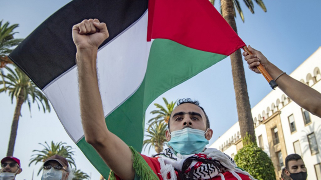 Manifestation Palestine Manifestation Palestine