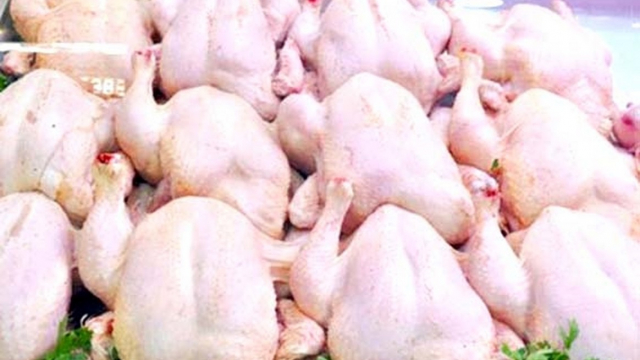 Poulet Poulet