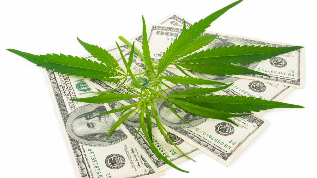 Cannabis revenus Cannabis revenus
