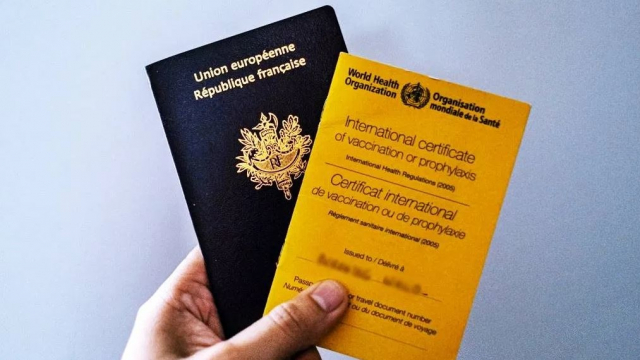 pass vaccinal français pass vaccinal français