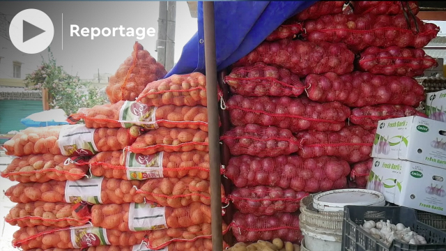 Vidéo. Sénégal: vers l'autosuffisance en pommes de terre et oignons, voire la surproduction Vidéo. Sénégal: vers l'autosuffisance en pommes de terre et oignons, voire la surproduction
