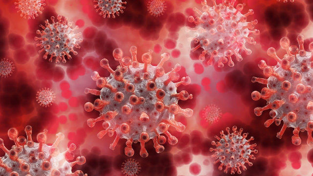 coronavirus - Covid-19 - virus coronavirus - Covid-19 - virus