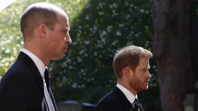 Prince William, duc de Cambridge - Prince Harry, duc de Sussex - Royaume-Uni - Prince William, duc de Cambridge - Prince Harry, duc de Sussex - Royaume-Uni -