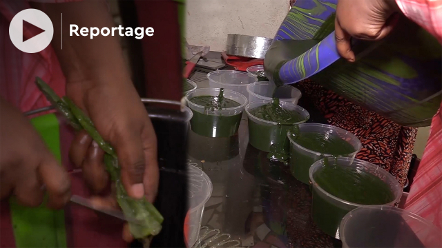 Vidéo. Les initiateurs de produits cosmétiques bio, Made in Mali, veulent gagner des parts de marché Vidéo. Les initiateurs de produits cosmétiques bio, Made in Mali, veulent gagner des parts de marché