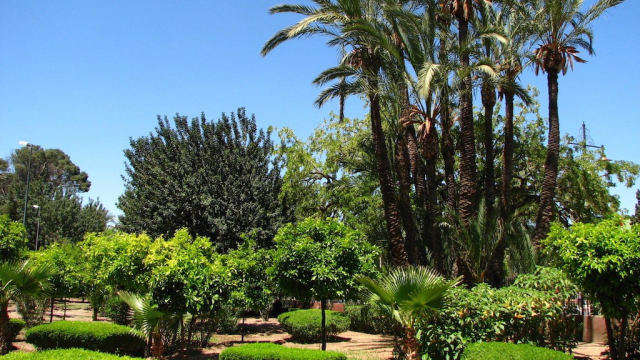 Marrakech espaces verts Marrakech espaces verts