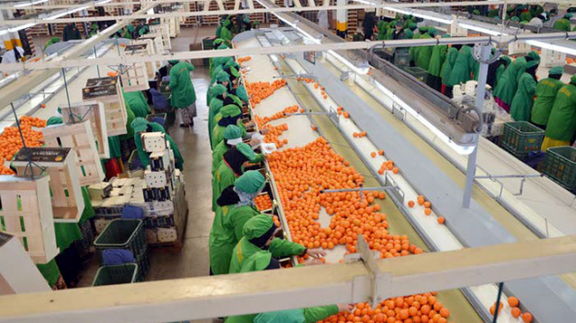 Industrie agroalimentaire Industrie agroalimentaire
