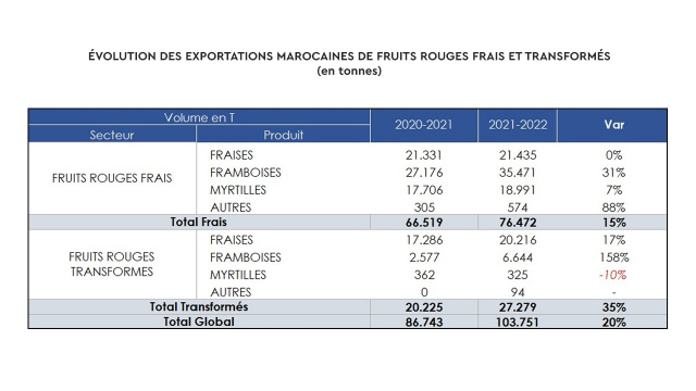 Evolution des exportations marocaines de fruits rouges frais et transformés