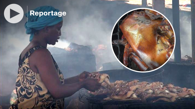 Guinée: le fumage du poisson, un métier difficile et risqué