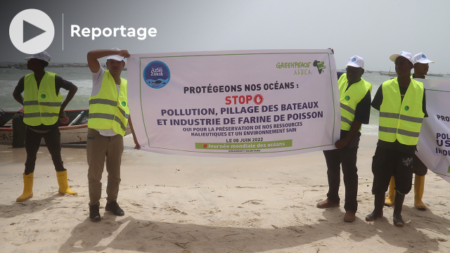 Mauritanie: célébration de la Journée mondiale des océans sous le signe de la protection de l&#039;environnement
