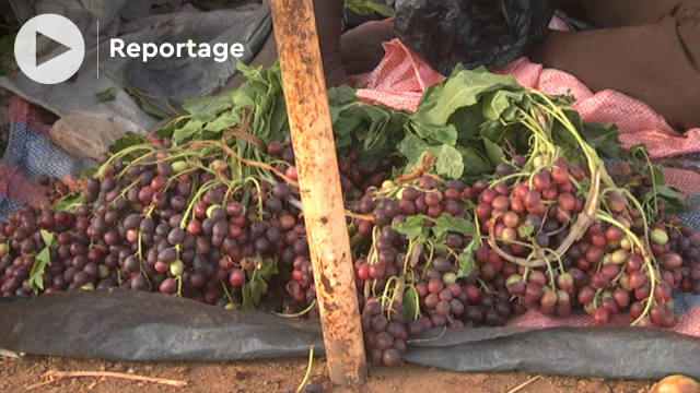 Le raisin africain et le wèda, ces fruits locaux qui font le bonheur des Burkinabè