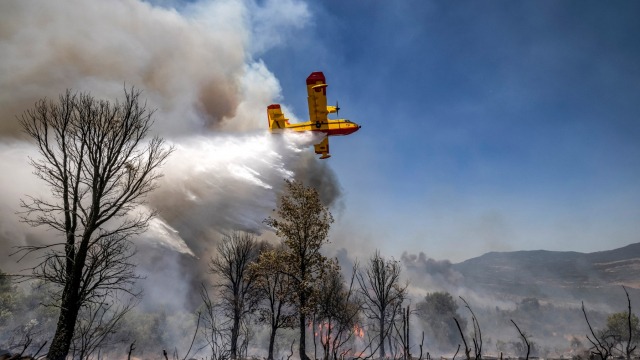 Canadair - Maroc - Incendies - Larache - Feux de forêts - Juillet 2022