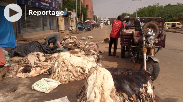 Niger: la commercialisation des peaux de mouton, lucratif business du lendemain de Tabaski