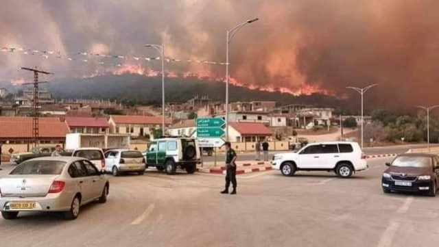 Algérie - Incendies - Feux de forêts - Nord et extrême Est de l Algérie Algérie - Incendies - Feux de forêts - Nord et extrême Est de l Algérie
