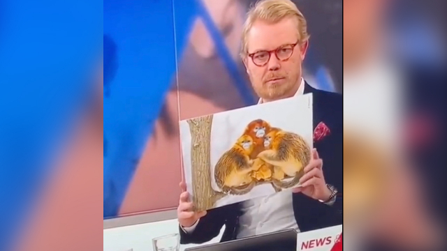 L’animateur télé danois Søren Lippert brandissant une affiche de primates pour illustrer l&#039;affection des Lions de l&#039;Atlas pour leurs mères