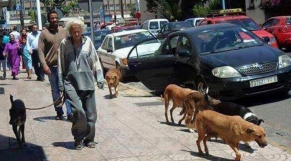 Vidéo Souk Laâyoune La Plus Grande Animalerie De