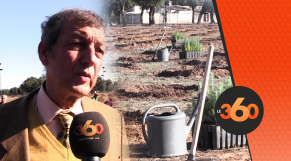 Cover Video -Le360.ma • Vaste opération de plantation de 800.000 arbres à travers le Maroc
