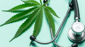 Le Cannabis médical contre la Covid-19