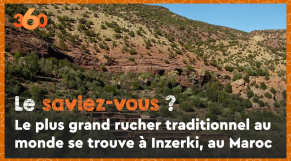 Cover Vidéo - Le saviez-vous #3? Le plus grand rucher traditionnel au monde se trouve à Inzerki, au Maroc