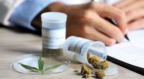 Cannabis à usage médicinal