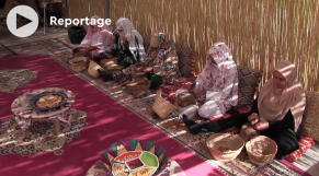 Journée internationale de l arganier - Argan - Huile d argan - Usage cosmétique ou alimentaire - Femmes rurales - Agadir - Souss - Région du Souss - 10 mai 