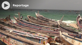 Mauritanie: la forte hausse du coût des licences de pêche artisanale suscite l&#039;ire des acteurs