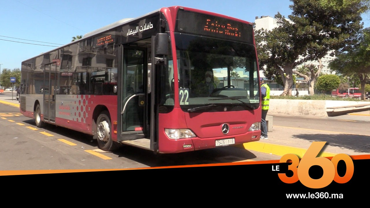 Video Casablanca Les Nouveaux Bus Sont Arrives Les Bleus