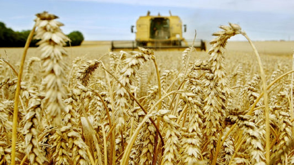 Céréales une récolte exceptionnelle de plus de 103 millions de