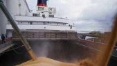 import blé