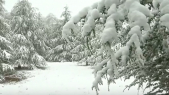 ifrane neige cover