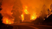 Incendie de forêt portugal