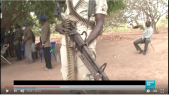 Vidéo. Sénégal: France24 se fait lyncher après un reportage sur la Casamance