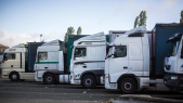 camions -  transport routier