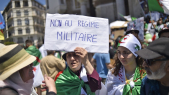 Algérie. Ahmed Gaïd Salah au coeur des contestations vendredi 10 mai 2019