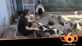 cover vidéo:Le360.ma •l’association Comme chiens et chats Maroc