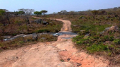 Angola: en plein pays équatorial, la sécheresse menace des milliers d&#039;éleveurs