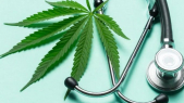 Le Cannabis médical contre la Covid-19