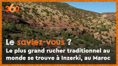 Cover Vidéo - Le saviez-vous #3? Le plus grand rucher traditionnel au monde se trouve à Inzerki, au Maroc