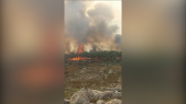 Cover_Vidéo: Feu de forêt: un incendie est en cours à Bab Taza, près de Chefchaouen