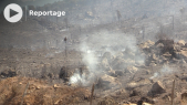 Cover_Vidéo: النيران تواصل تدمير مساحات شاسعة من غابات شفشاون