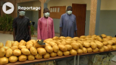 Vidéo. La police nigérienne saisit une importante quantité de drogue