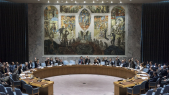 Conseil de sécurité - ONU - New York
