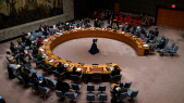 Ukraine - Réunion d urgence Conseil de Sécurité de l ONU - New York - Crise ukrainienne - Russie