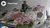 Casablanca - hausse - prix poisson - Coût de la vie - Marché central de Casablanca 