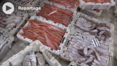 Pêche maritime - Laâyoune-Sakia El Hamra - Sahara marocain - Pêche hauturière - Industrie de transformation du poisson