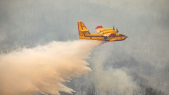 Canadair - Maroc - Incendies - Larache - Feux de forêts