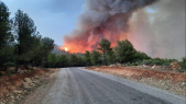 Incendie - Beni Mellal - Feux de forêts