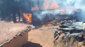 Tahla-Région de Taza-Forêts ravagées-Incendies
