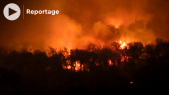 Feu - Incendie - Boujedyane - Ksar El-Kébir - Sud de Larache - Arbres ravagés par les flammes - Zone agricole - 